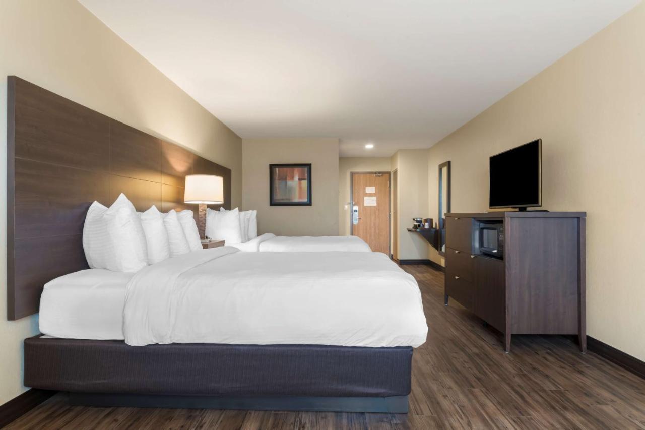 Best Western Plus Saint John Hotel & Suites מראה חיצוני תמונה