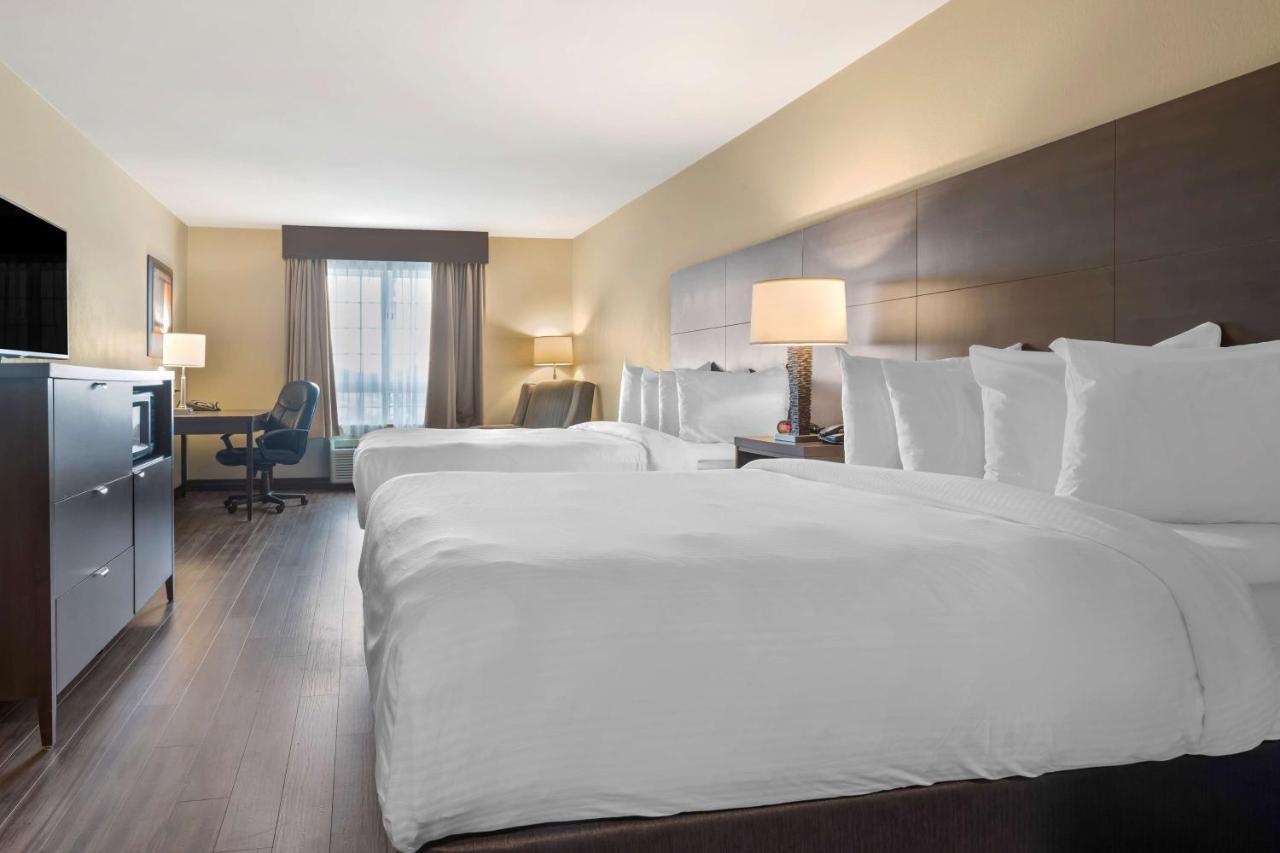 Best Western Plus Saint John Hotel & Suites מראה חיצוני תמונה