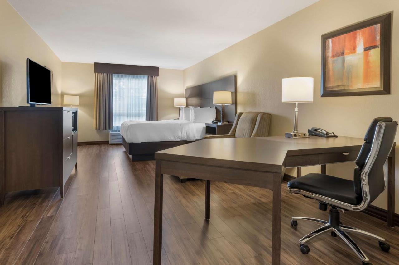 Best Western Plus Saint John Hotel & Suites מראה חיצוני תמונה